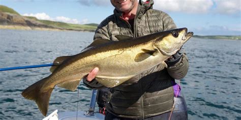 fishing licence scotland|fish introductions scotland.